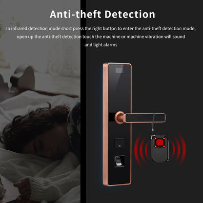 Anti-theft detection mode with vibration alarm used on a hotel room door handle for personal travel security.